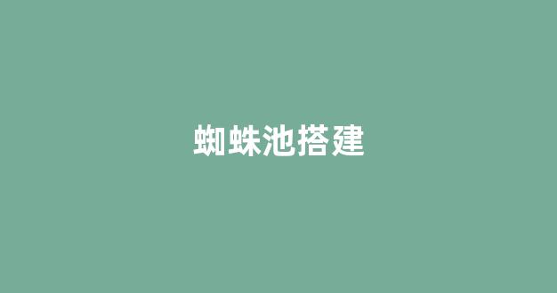 外推蜘蛛池